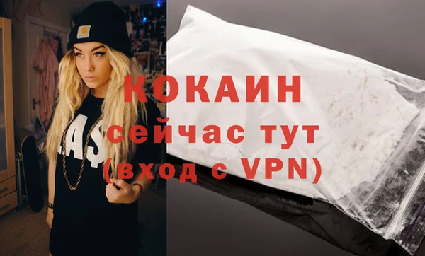 прущий лед Вяземский