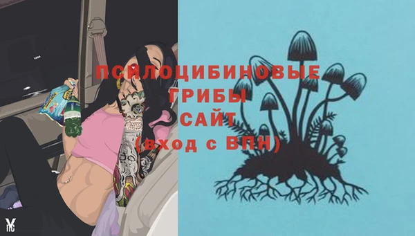 спиды Вязники