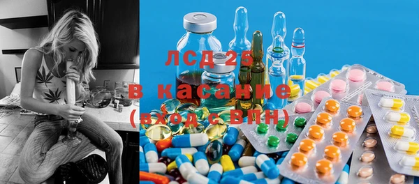 прущий лед Вяземский