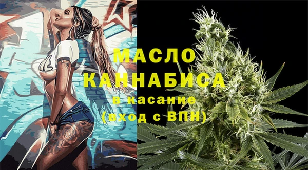 прущий лед Вяземский