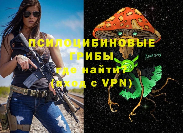 прущий лед Вяземский