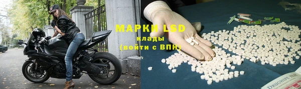 прущий лед Вяземский